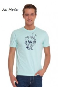 polo erkek tişört 2015